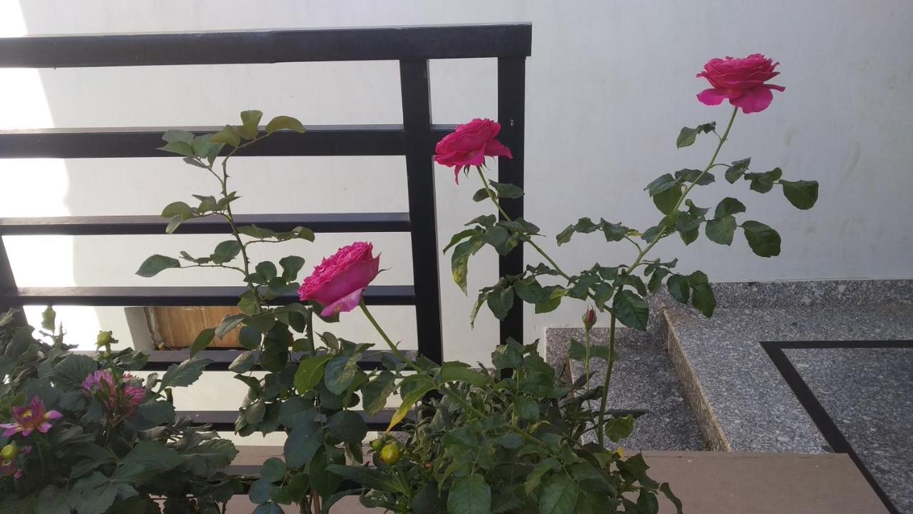 Mai Dalat Homestay Eksteriør billede